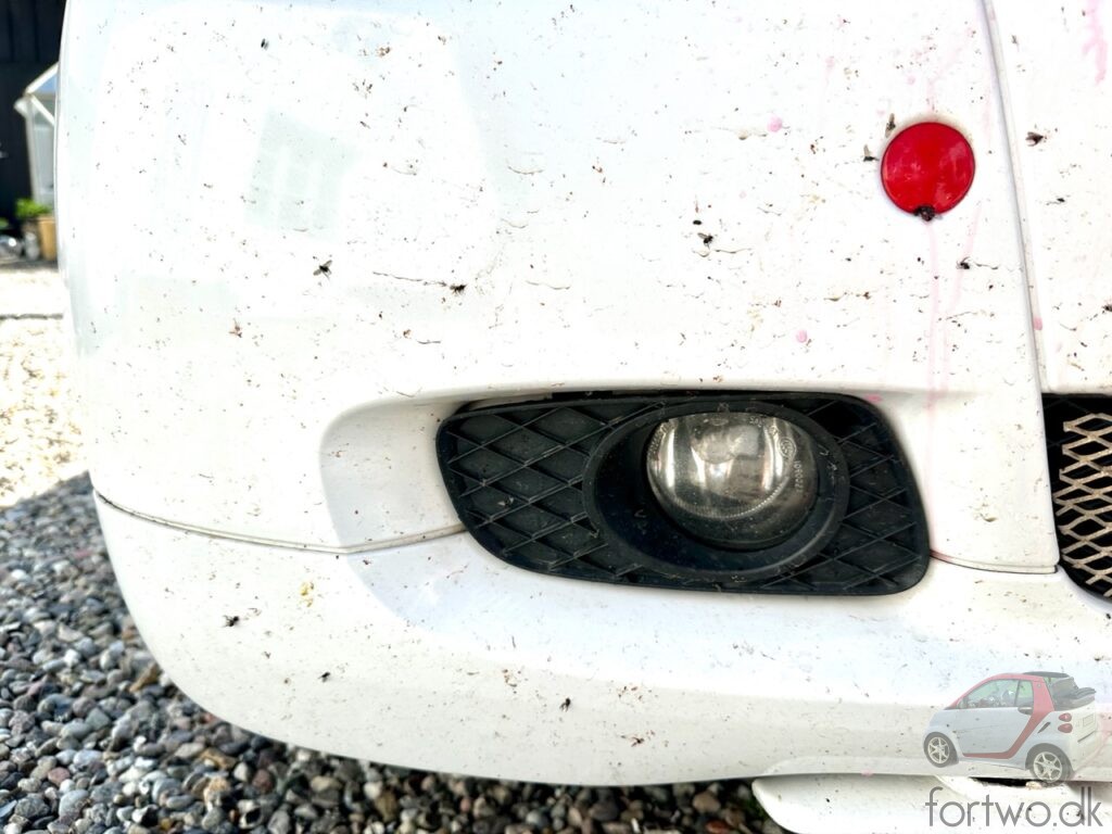 Insects everywhere on the front bumper