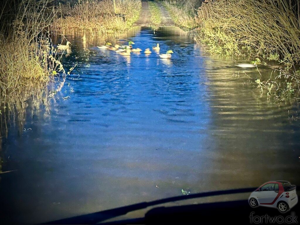 Forging a flooded road with the Smart Fortwo